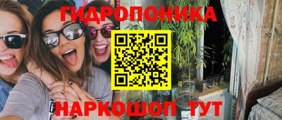 мдпв Кингисепп