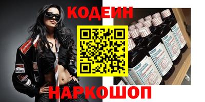 мдпв Кингисепп