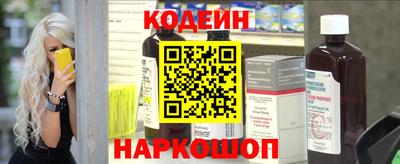 мдпв Кингисепп