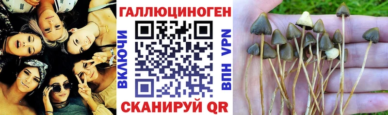 Галлюциногенные грибы мухоморы  Куйбышев 